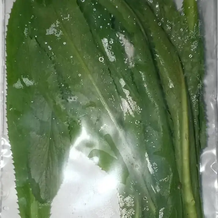 Culantro 10g's photo #1