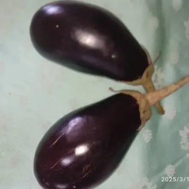 Berenjena 1kg🍆's photo #1