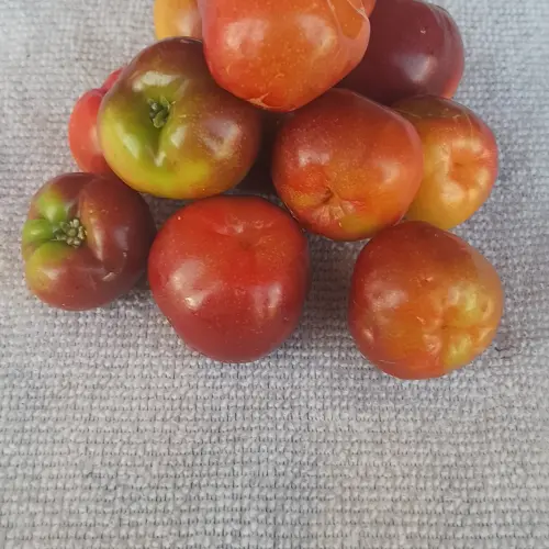 Acerola 500g's photo #1
