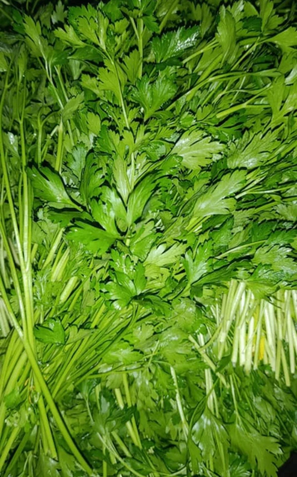 Perejil Lizo 50g's foto | ALBORA |  BizneCubano