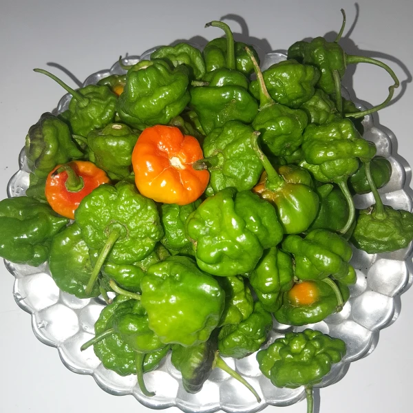 Ají Cachucha 1Kg's foto | ALBORA |  BizneCubano